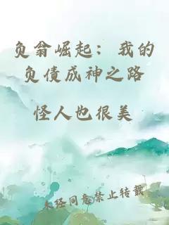 负翁崛起：我的负债成神之路